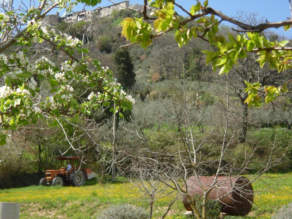 Montanari Agrivillage Narni Exterior foto